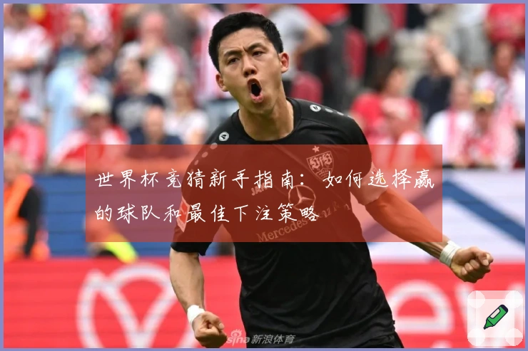 世界杯竞猜新手指南：如何选择赢的球队和最佳下注策略