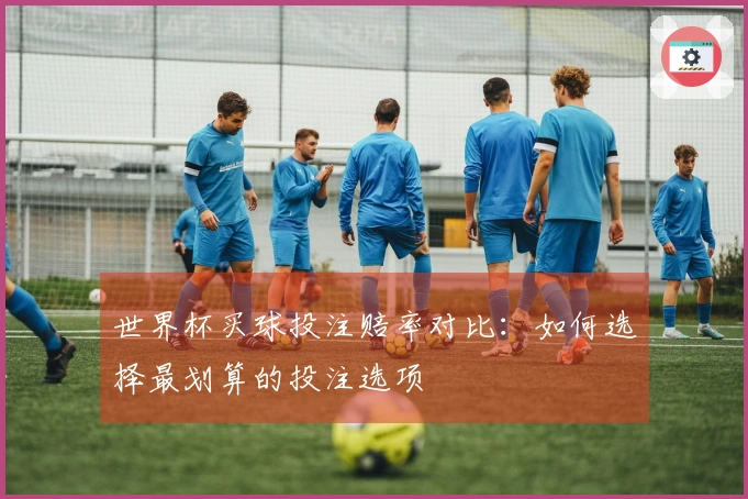世界杯买球投注赔率对比：如何选择最划算的投注选项